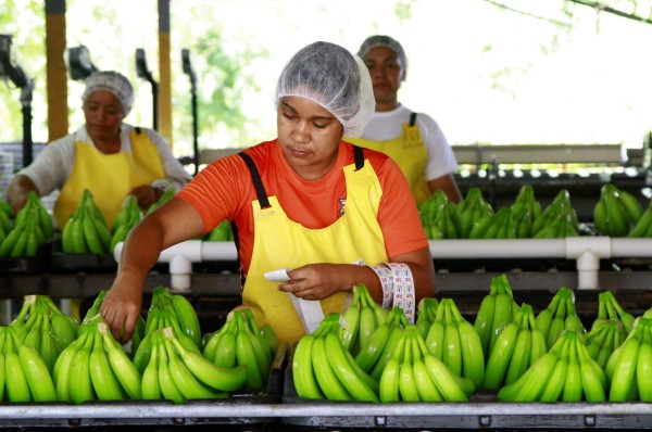 Economía hondureña cierra en positivo el primer trimestre