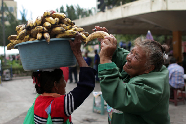 Hambre en Latinoamérica se redujo en las últimas décadas