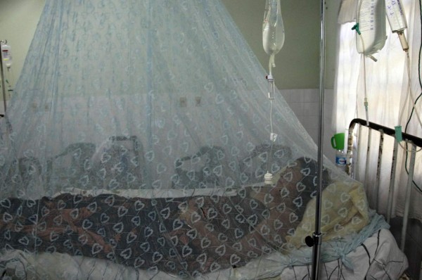 Aumenta a 34 los muertos por dengue grave en Honduras en 2019