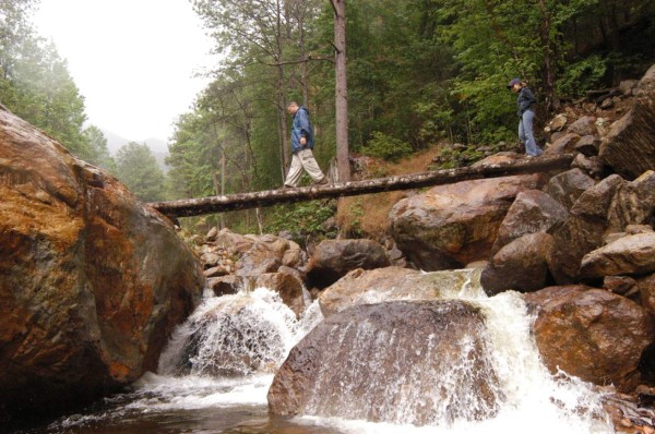 Nominan montaña de Celaque para Reserva Mundial