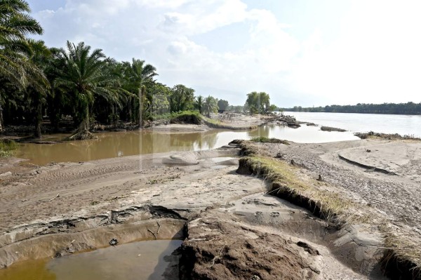 View of a flooded banana field in El Progreso, Yoro department, Honduras, on November 14, 2020, before the arrival of tropical storm Iota. - Less than two weeks after powerful storm Eta killed more than 200 people across Central America, authorities on Saturday warned that storm Iota is likely to wallop coastal areas of Nicaragua and Honduras on Monday as a major hurricane. (Photo by Orlando SIERRA / AFP)