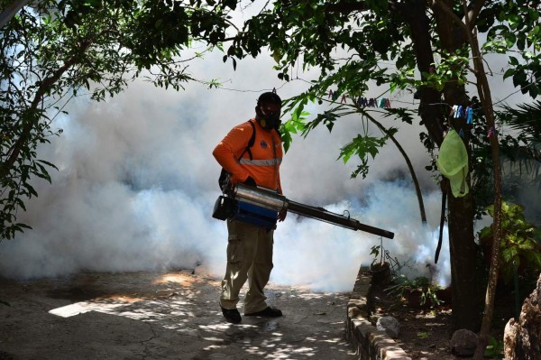 Tres menores fallecieron por sospecha de dengue en Honduras
