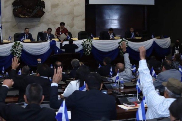 Congreso comienza a discutir ley de alivio a deuda de palmeros