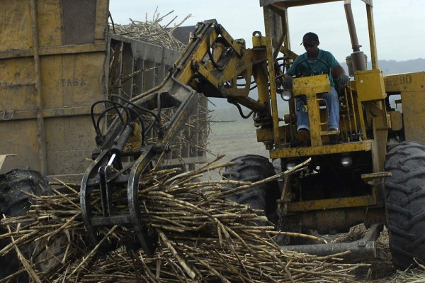 Zafra 2014-2015 arranca la otra semana en el sur de Honduras