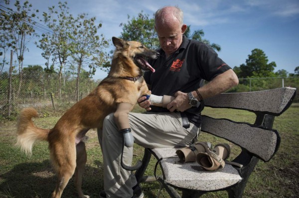 This photo taken on December 12, 2017 shows John Dalley fitting Cola the dog with his new curved 'blade runner' prosthetic legs at Soi Dog Foundation in Phuket. Just over a year after he was brutally maimed for gnawing on a neighbour's boots, Cola the canine is romping across a Phuket beach on sleek new paws: curved 'blade runner' prosthetics modelled after those used by Paralympian sprinters. / AFP PHOTO / LILLIAN SUWANRUMPHA