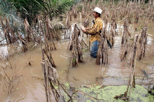 Dos muertos y más de 300 afectados por frente frío en Honduras