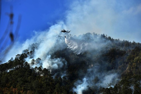Controlan incendio en el cerro Upare, Francisco Morazán