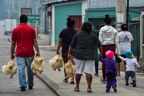 People leave after receiving hens given by Honduran presidential pre-candidate for LIBRE party, Wilfredo Mendez, at the working-class neighbourhood of El Carrizal, in Tegucigalpa on May 7, 2020, amid the new coronavirus pandemic. (Photo by ORLANDO SIERRA / AFP)