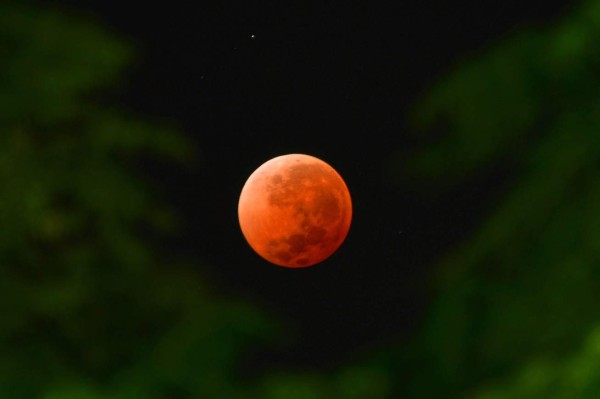 Por cuatro horas, el mundo se maravilló viendo al cielo