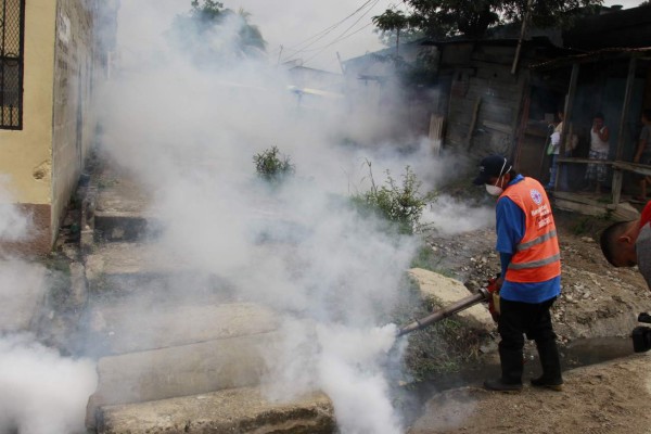 Masivo operativo contra el zika en El Carmen de San Pedro Sula