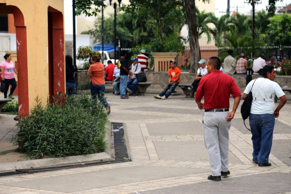 Encuentran larvas de Aedes aegypti en el parque sampedrano