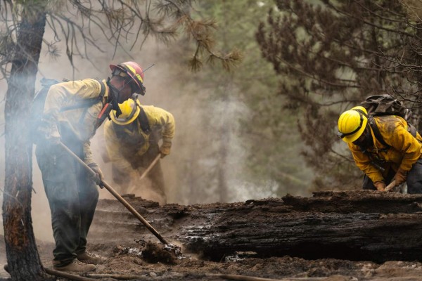 Bomberos logran contener más del 50 % del mayor incendio activo en EEUU