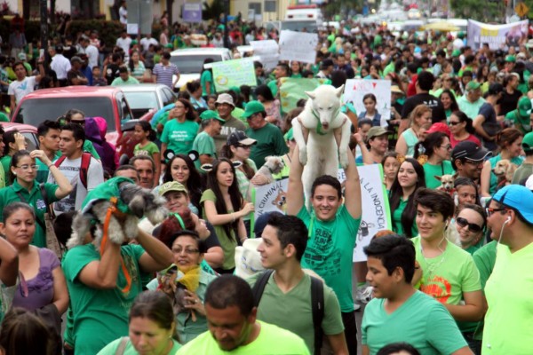 Foto: La Prensa