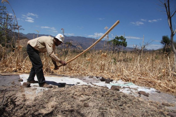 Emergencia en poblados afectados por la sequía