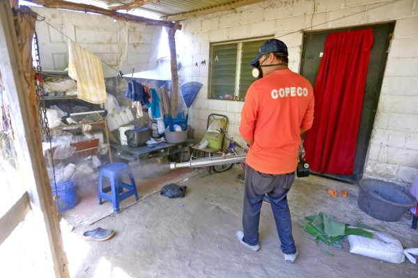 Casos de dengue disminuyen un 84% en San Pedro Sula