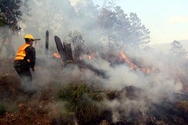 Bosque quemado en Francisco Morazán equivale a 34.70 hectáreas