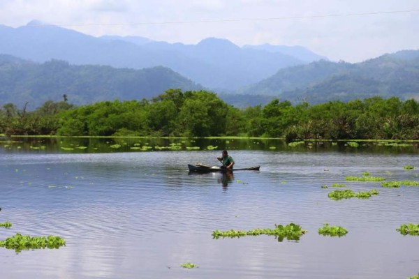 BID concluye un proyecto de protección de espacios de manglares en Honduras