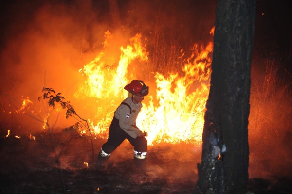 Bosques hondureños arden bajo fuego en el mes más crítico