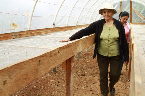 A sus 70 años logró producir el mejor café de Honduras