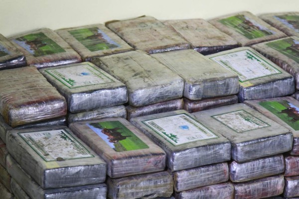 Rastra transportaba 743 kilos de cocaína entre toros y terneros