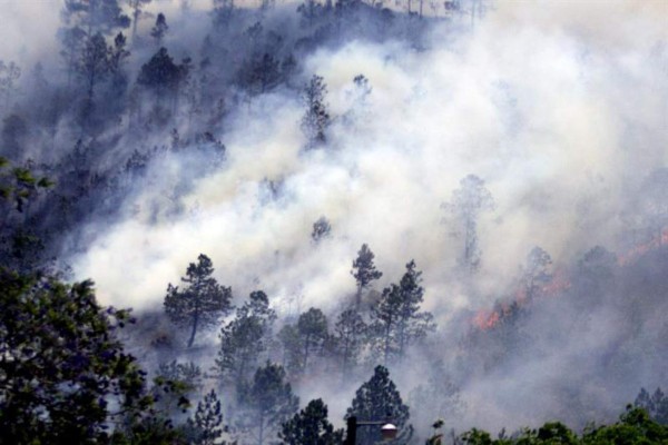 Honduras pierde 6.6 millones de dólares por incendios forestales