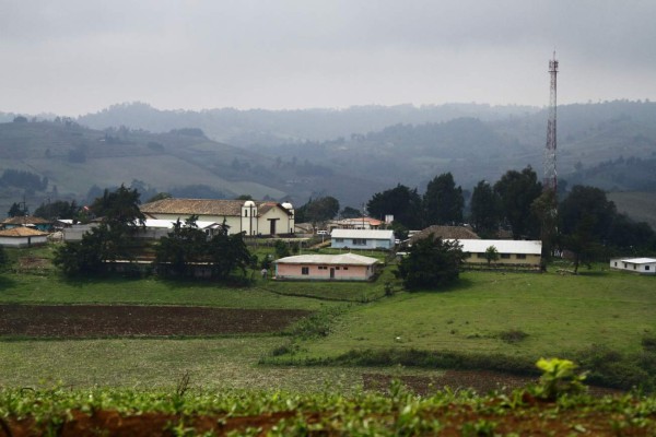 Exportaciones de la agroindustria hondureña crecen en 25%