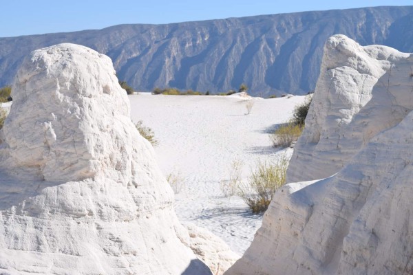 Coahuila, desierto bello y fértil