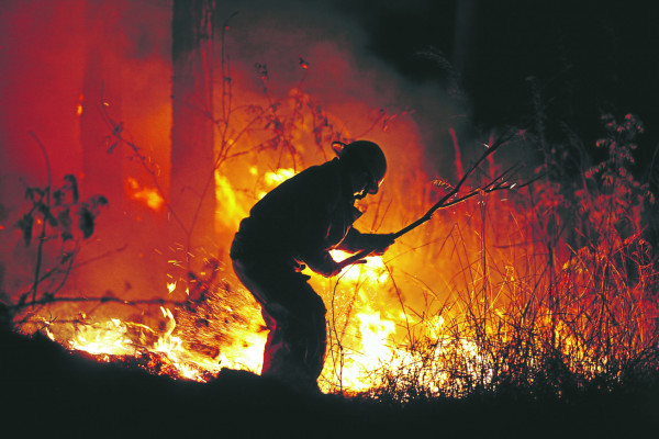 Reportan 73 incendios forestales en Honduras