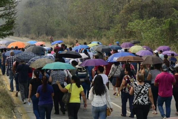 Maestros del sector de La Lima, Cortés, durante la marcha pacífica de hoy viernes.