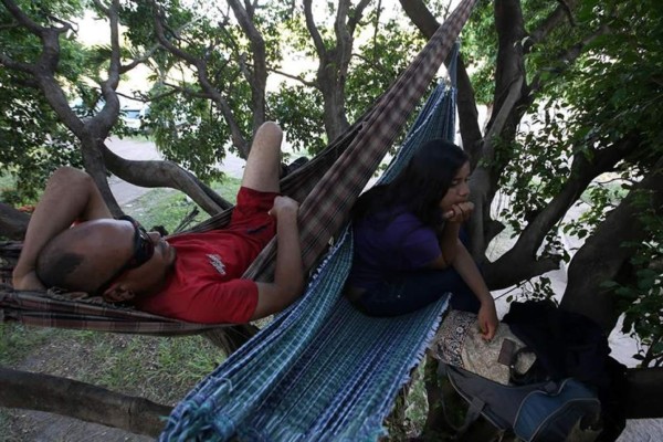 Hasta los árboles le sirven de casa a los venezolanos que huyen hacia Brasil