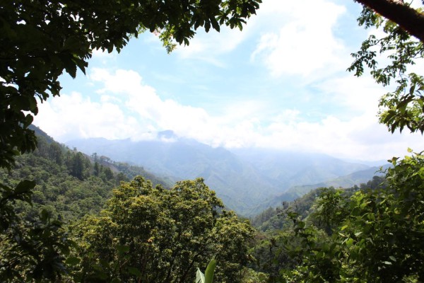 ¡Los tesoros del Cusuco! Biodiversidad en su máximo esplendor