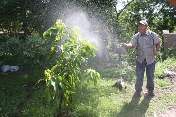 Costos de insumos agrícolas crecen hasta en 15% este año