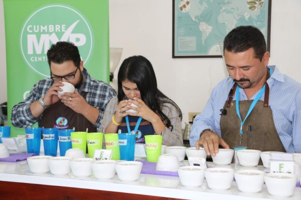Analizan perspectivas del café en foro internacional en Copán