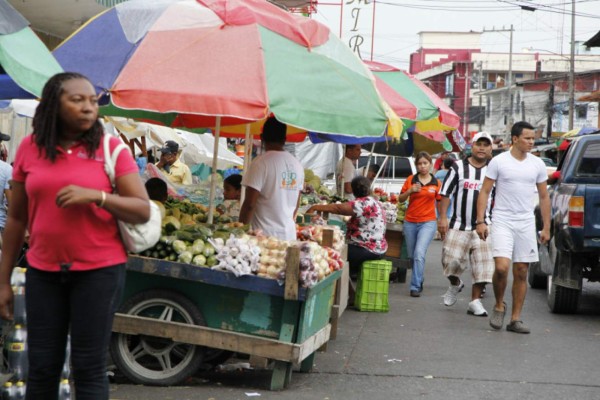 Trocos y carretas de San Pedro Sula pagaran matrícula de 70 lempiras