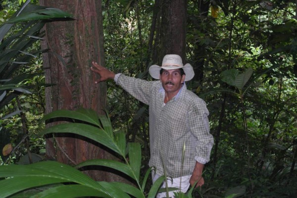 Productores encuentran valor agregado a recursos forestales