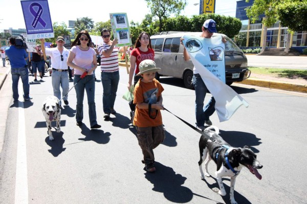 Fuertes sanciones contempla la nueva Ley de Protección Animal