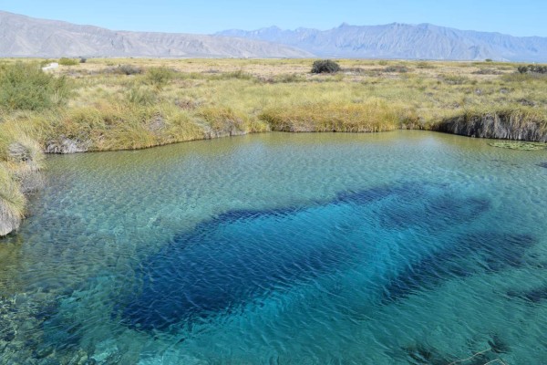 Coahuila, desierto bello y fértil