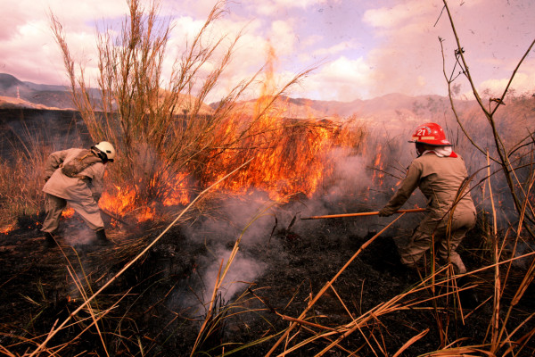 Con satélites de la Nasa localizan cinco incendios forestales en Honduras