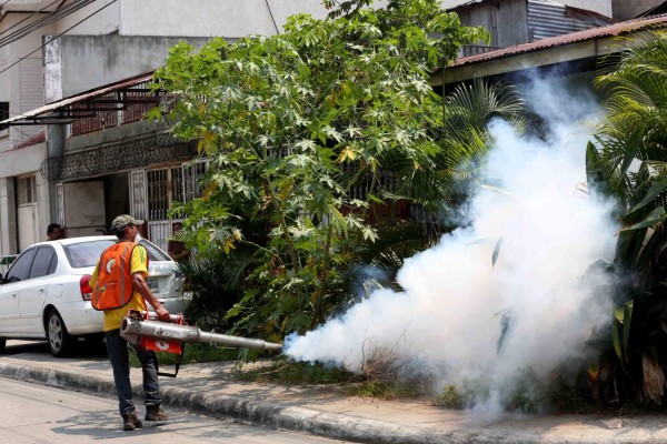 Salud reporta la segunda muerte por dengue en 2016