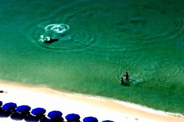 Video: Enorme tiburón acecha a dos bañistas en playas de la Florida