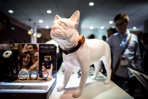 Aplicaciones para perros se exponen en feria de Hong Kong