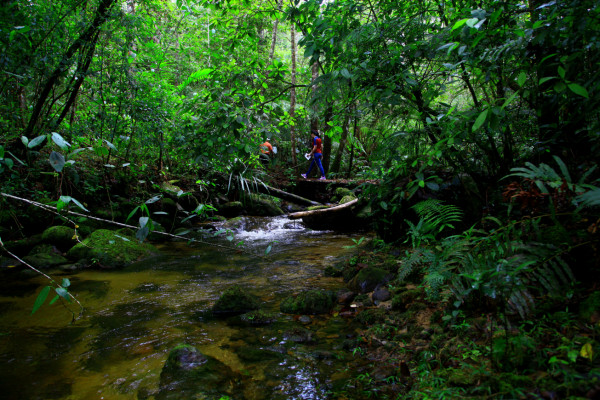 Explore el Cusuco, la joya natural que encuentra en El Merendón