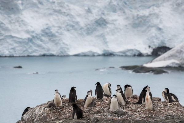 La Antártida registró temperatura récord de más de 20 grados centígrados