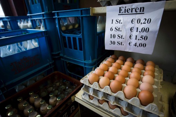 Dos detenidos en Holanda en conexión con los huevos contaminados