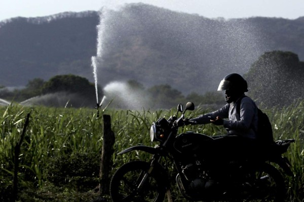 Sequía en Honduras en verano afecta a productores