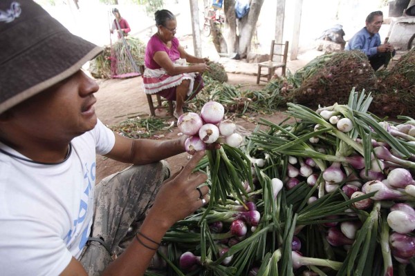 Apoyarán con préstamos a productores locales