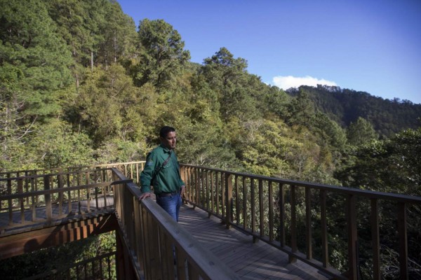 Parque Nacional Celaque, uno de los pulmones de oxígeno de Honduras