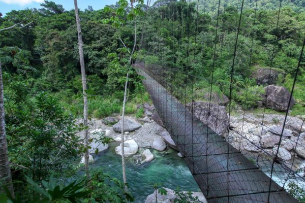 En el Centro de Visitantes está el puente colgante más famoso del lugar. 9761-6461.