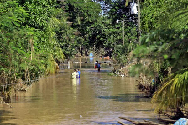 Foto: La Prensa