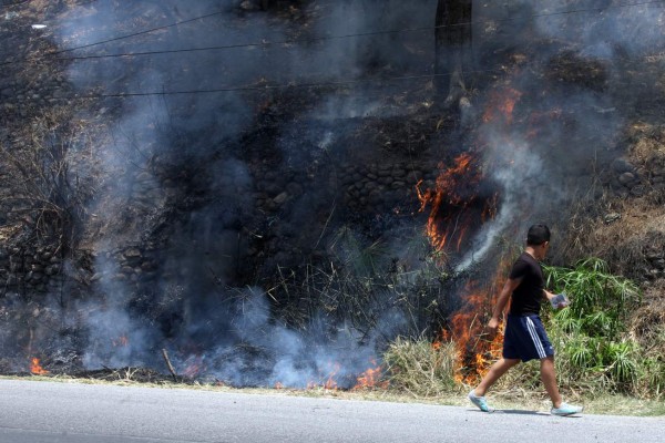 Fuego ya arrasó 20,473 hectáreas de bosques